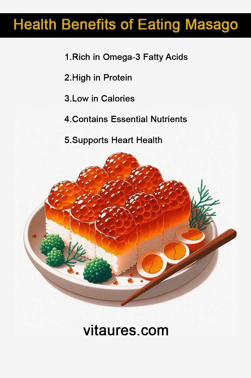 masago-key-points