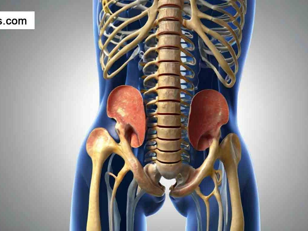 Pinched Nerve in Hip