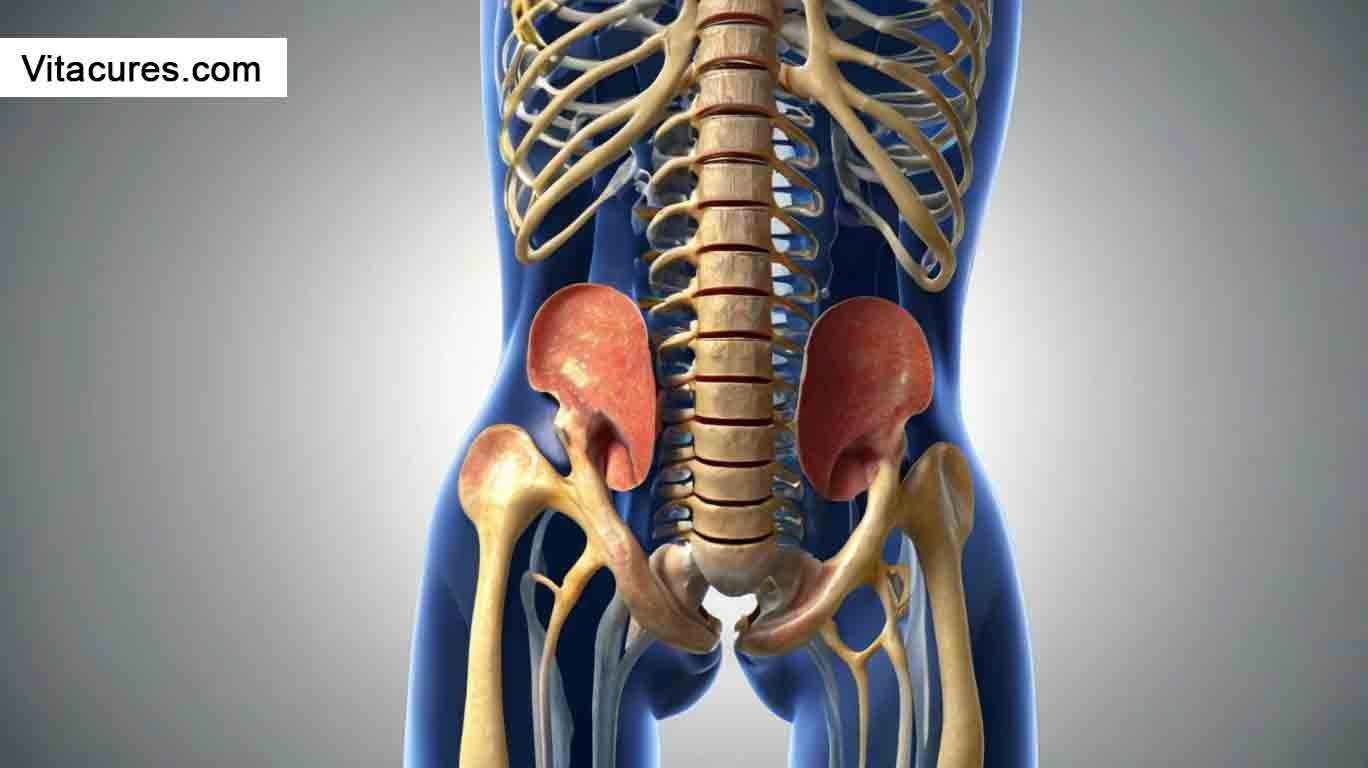 Pinched Nerve in Hip