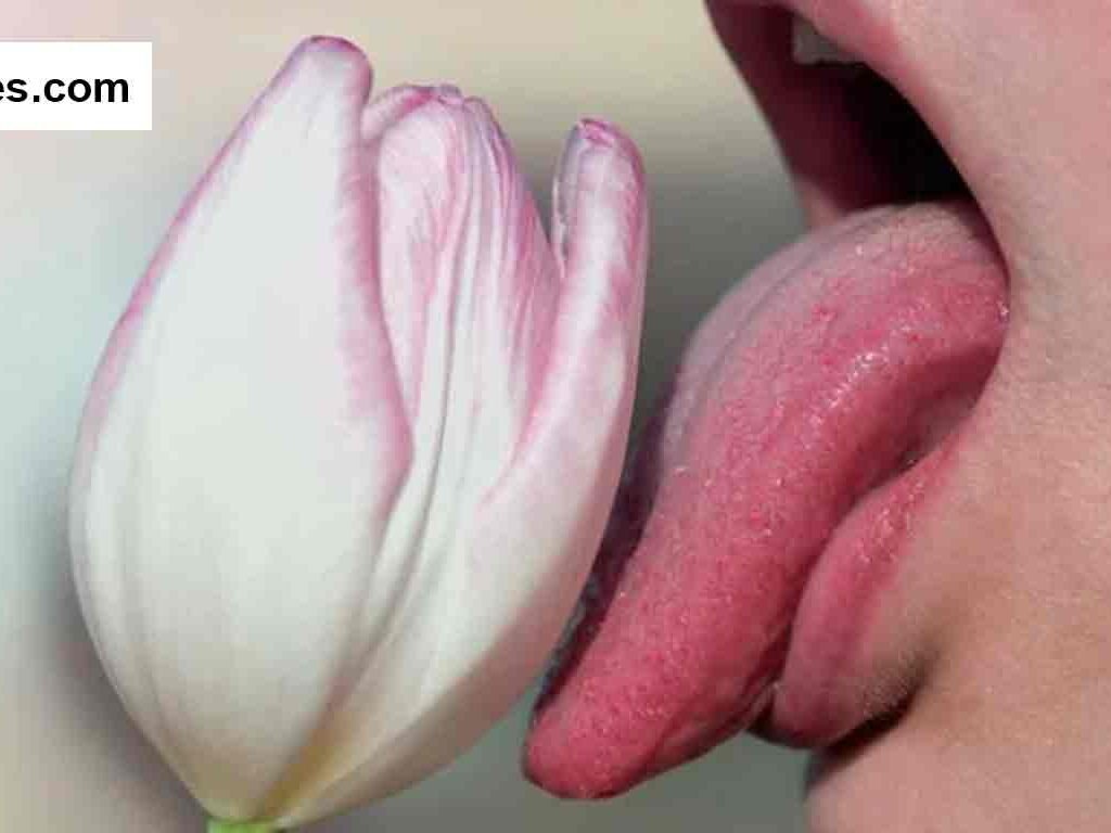 blowjob