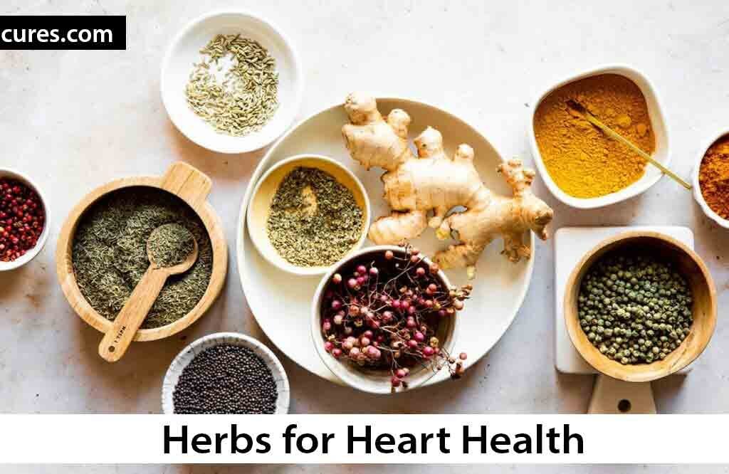 Herbs for Heart Health