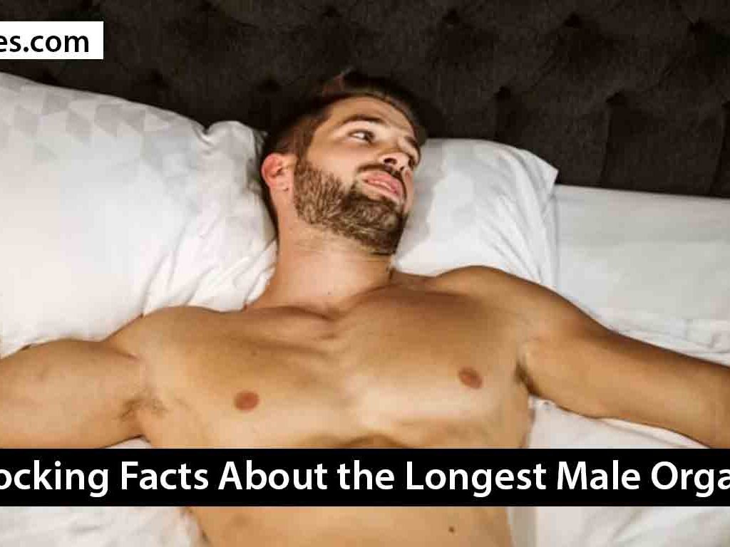 Longest Male Orgasms