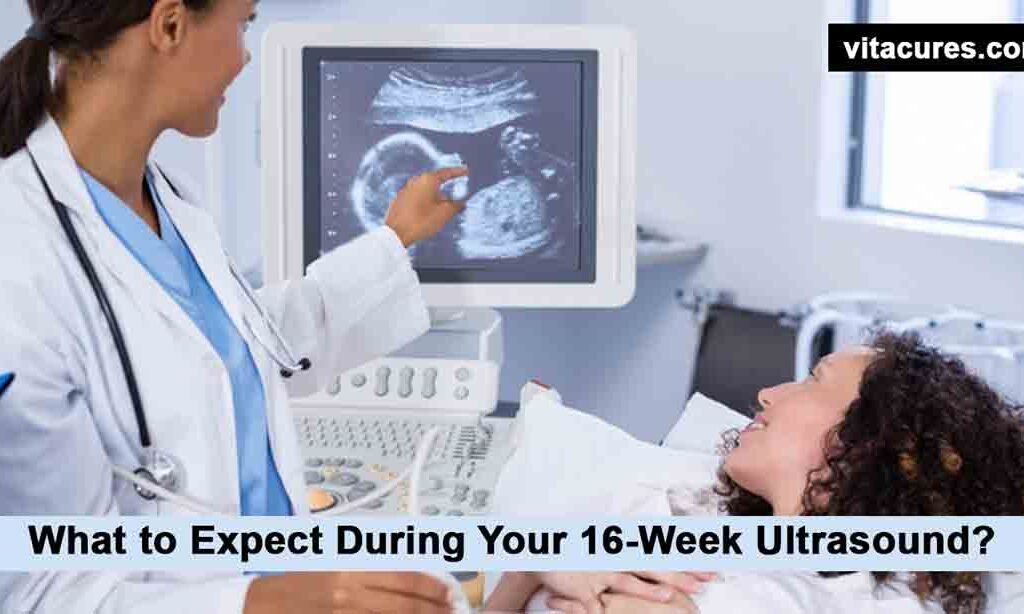 16-Week Ultrasound