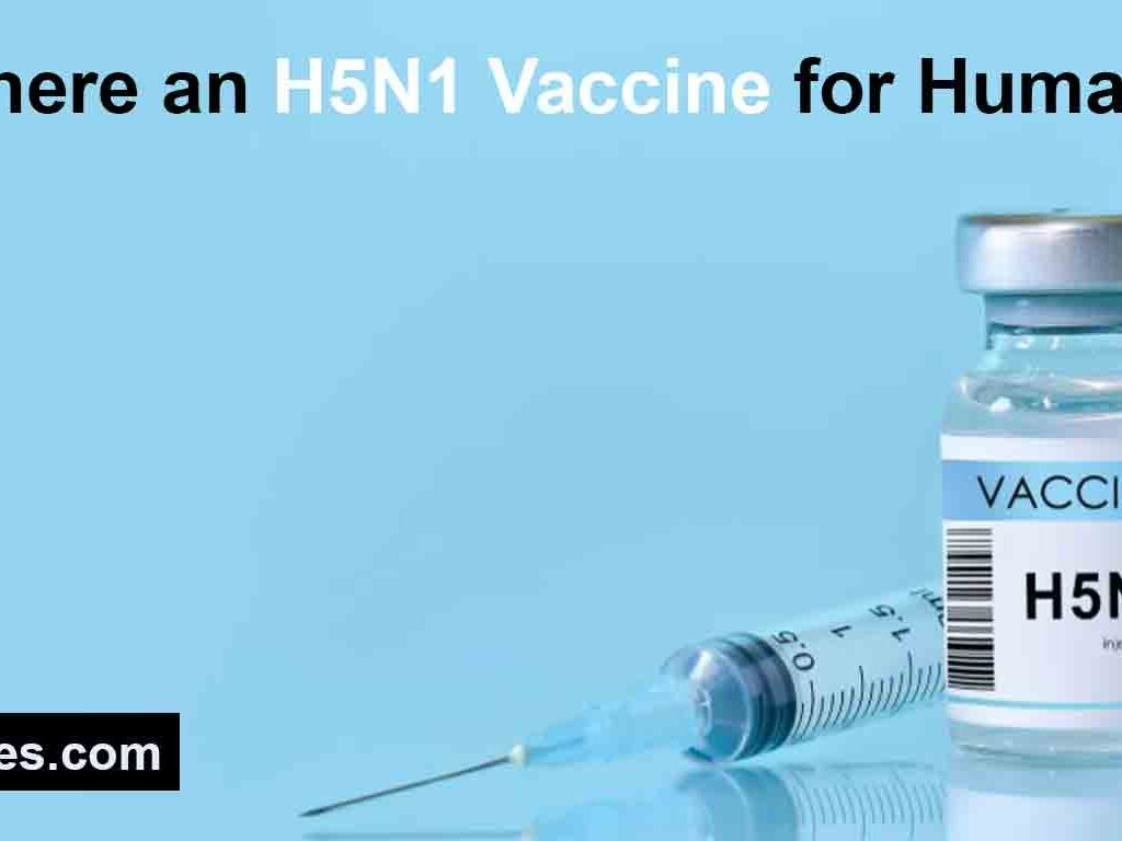 H5N1 Vaccine for Humans