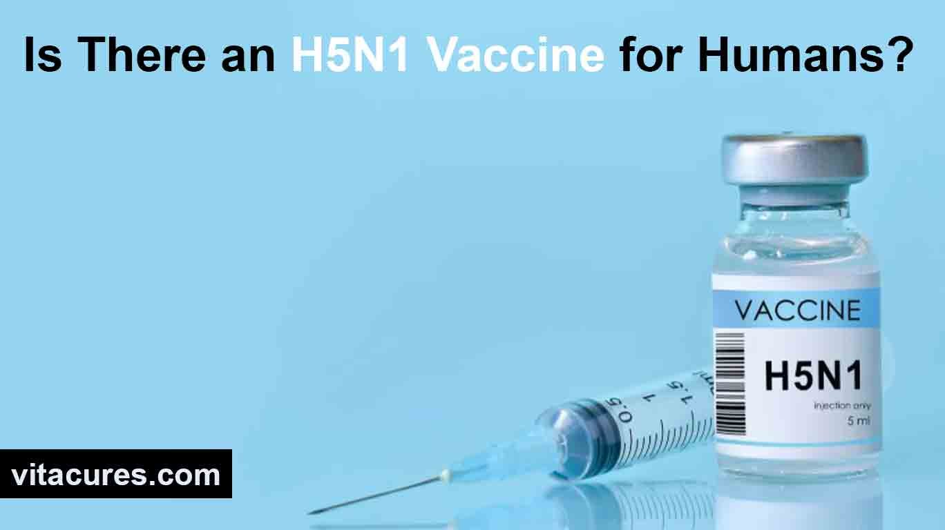 H5N1 Vaccine for Humans
